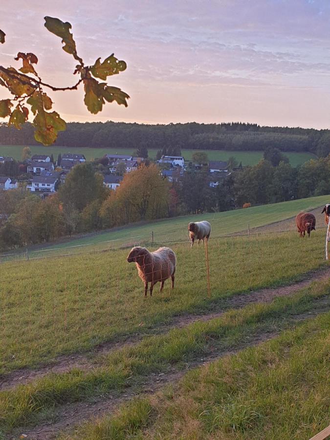 Andinas Ferienwohnung In Ruhiger Lage Direkt Am Wald Wilnsdorf Εξωτερικό φωτογραφία